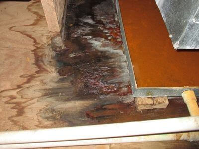 About water damage cleanup - ceiling water damage repair experts in Bremerton